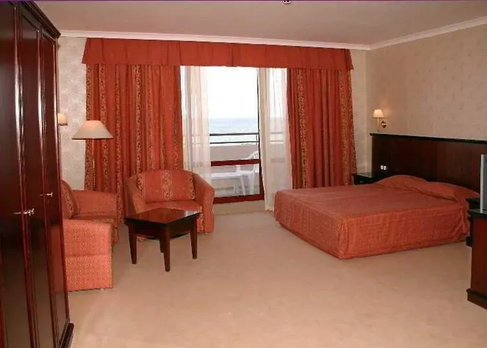 Gladiola Star Złote Piaski