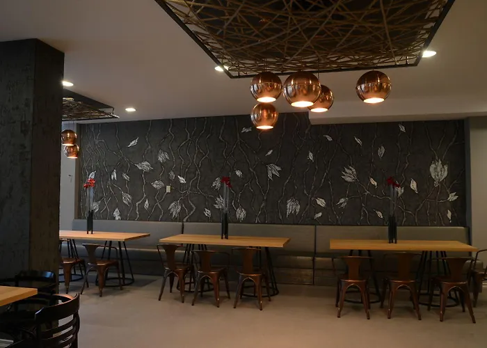 Gladiola Star Złote Piaski