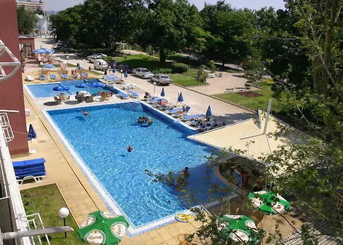 Gladiola Star Złote Piaski