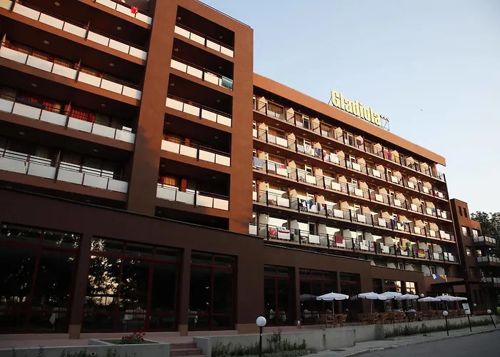 Gladiola Star Złote Piaski